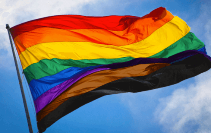 Annapolis Pride Seeking New Board Members 2022-2025